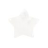 Clear Quartz Crystal Star in a Bag