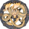 Imbolc Dragon Resin Wall Plaque by Anne Stokes