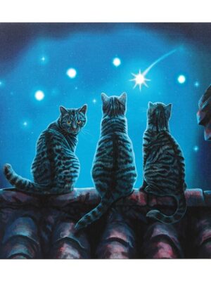 Wish Upon A Star Light Up Canvas Plaque by Lisa Parker