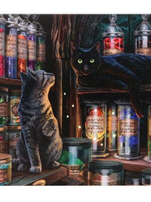 Magical Emporium Light Up Canvas Plaque by Lisa Parker