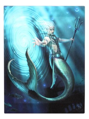 19x25cm Water Element Wizard Canvas Plaque by Anne Stokes