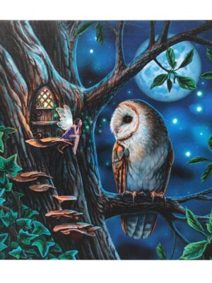 Fairy Tales Light Up Canvas Plaque by Lisa Parker