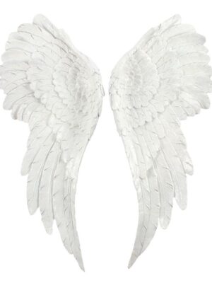 Pair of Large Glitter Angel Wings
