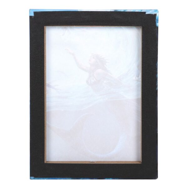 19x25cm Water Element Sorceress Canvas Plaque by Anne Stokes