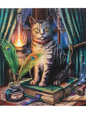 Book of Shadows Light Up Canvas Plaque by Lisa Parker