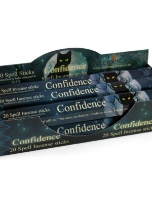 Set of 6 Packets of Confidence Spell Incense Sticks by Lisa Parker