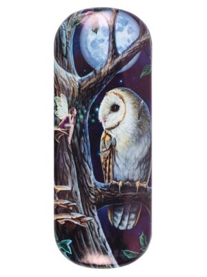 Fairy Tales Glasses Case by Lisa Parker