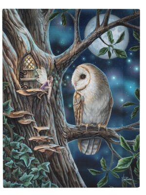 19x25cm Fairy Tales Canvas Plaque by Lisa Parker