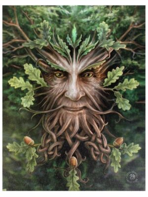 19x25cm Oak King Canvas Plaque by Anne Stokes