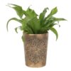 Green Man Bronze Terracotta Plant Pot by Lisa Parker