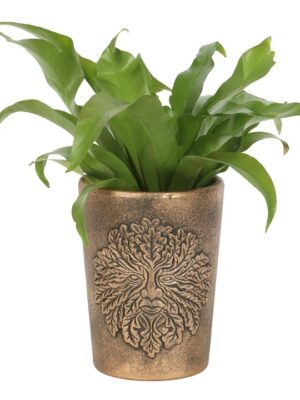 Green Man Bronze Terracotta Plant Pot by Lisa Parker