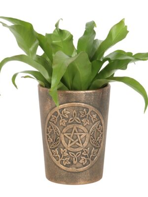 Triple Moon Bronze Terracotta Plant Pot by Lisa Parker