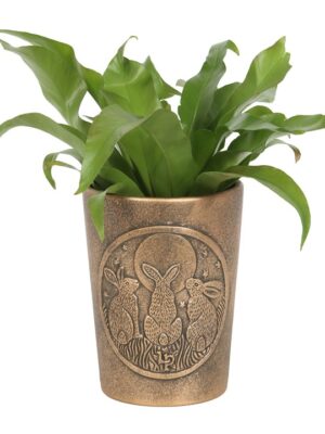 Moon Shadows Bronze Terracotta Plant Pot by Lisa Parker