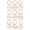 Pack of 9 Angel Number Keyrings