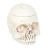 Weathered Skull Oil Burner and Wax Warmer
