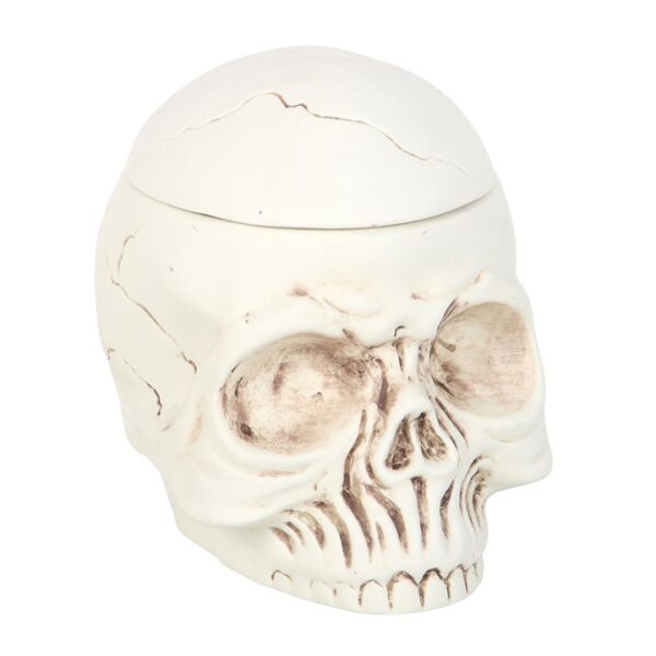 Weathered Skull Oil Burner and Wax Warmer