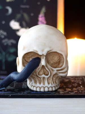 Skull Ornament with Snake