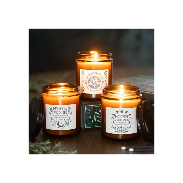 Green Witch White Sage Amber Glass Candle