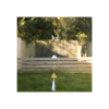 String of Bee and Honeycomb Suncatchers - Spiritual Home Decor
