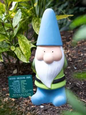 Large Weather Forecasting Gnome - Figurine