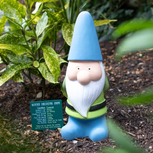 Large Weather Forecasting Gnome Large Weather Forecasting Gnome - Figurine