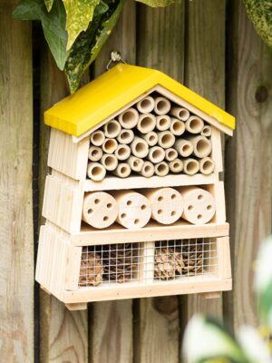Wooden Honey Bee Insect House Wooden Honey Bee Insect House - Spiritual Home Decor
