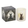 Black Cat Magick Black Fig Candle