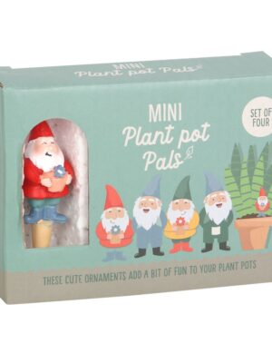 Set of 4 Mini Gnome Plant Pot Pals - Spiritual Home Decor
