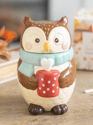 Oliver Owl Oil Burner - Spiritual Home Decor