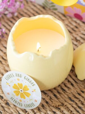 DD_95026.jpg Citrus & Ginger Egg Shaped Candle - Aromatherapy
