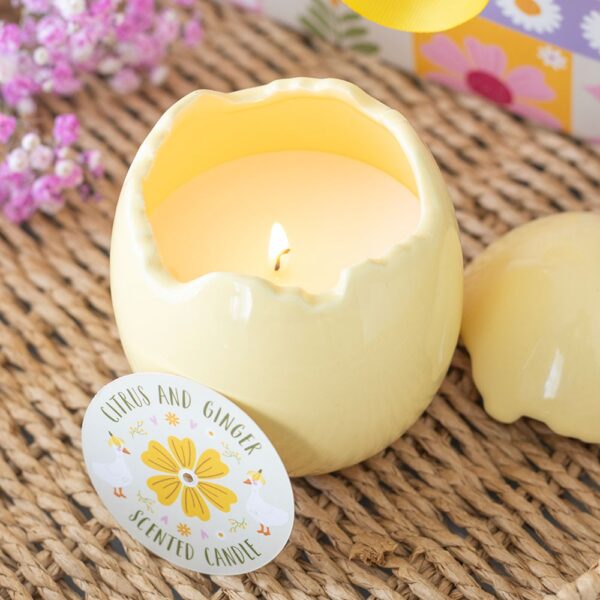 DD_95026.jpg Citrus & Ginger Egg Shaped Candle - Aromatherapy