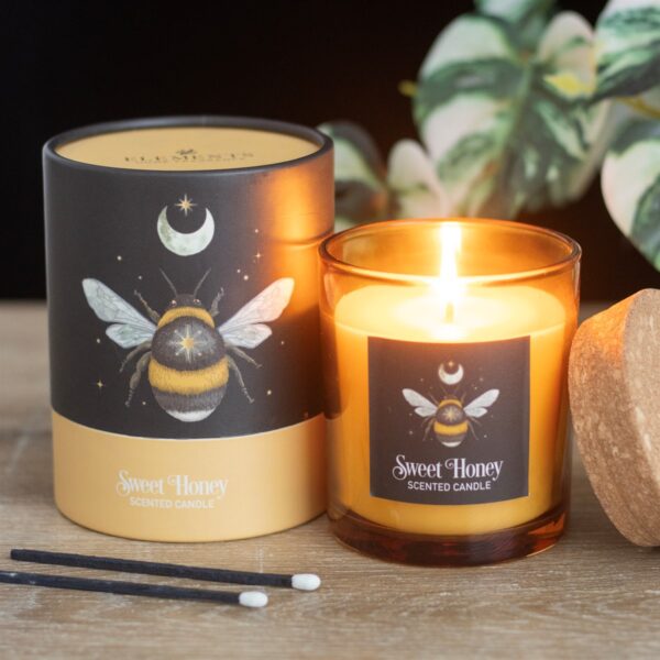 Forest Bee Sweet Honey Fragranced Glass Candle - Aromatherapy