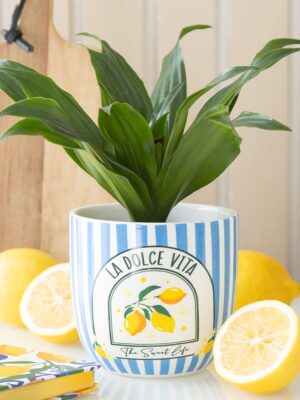 Blue Striped La Dolce Vita Plant Pot - Spiritual Home Decor
