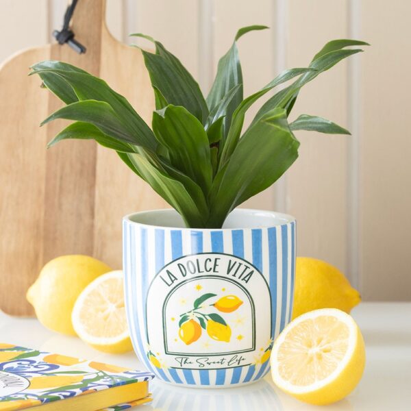 Blue Striped La Dolce Vita Plant Pot - Spiritual Home Decor