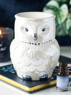 Owl Shaped Iridescent Oil Burner and Wax Warmer - Spiritual Home Decor