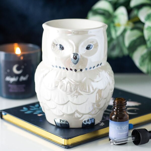 Owl Shaped Iridescent Oil Burner and Wax Warmer - Spiritual Home Decor