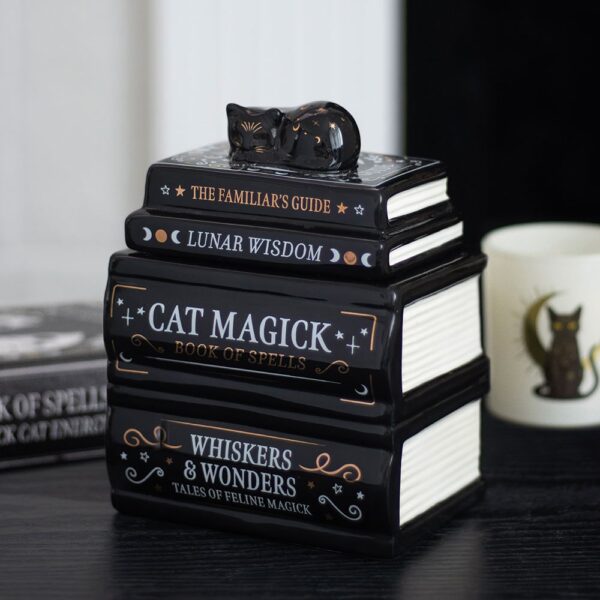 MK_57927.jpg Black Cat Book Stack Oil Burner with Cat - Book Decor