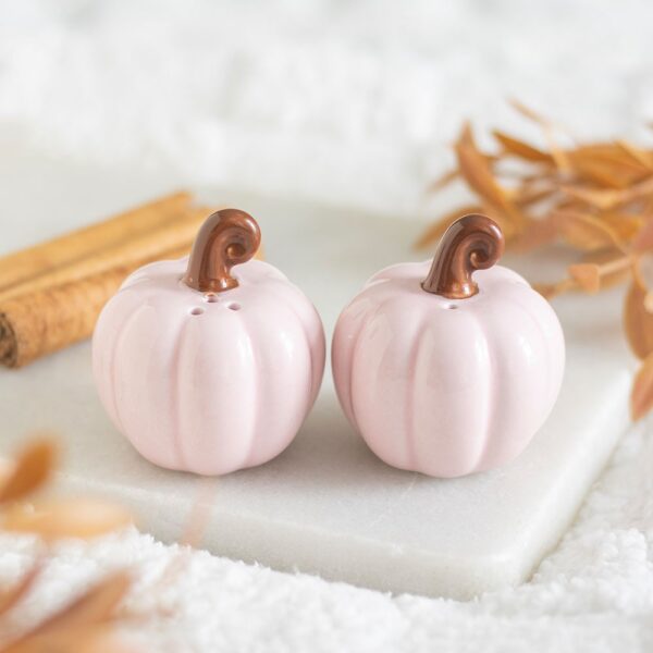 Pink Curly Pumpkin Salt and Pepper Shakers - Spiritual Home Decor