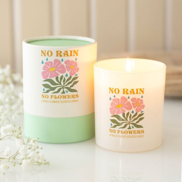 No Rain, No Flowers Citrus & Ginger Candle - Aromatherapy