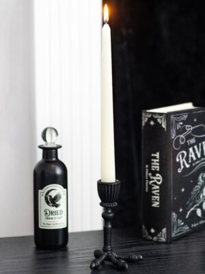 RV_91425.jpg Raven Claw Taper Candle Holder - Aromatherapy