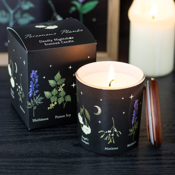 Deadly Nightshade Scented Candle - Aromatherapy